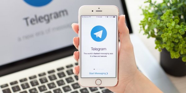 Лена Миро призвала юзеров настроить VPN в связи с вероятной блокировкой Telegram
